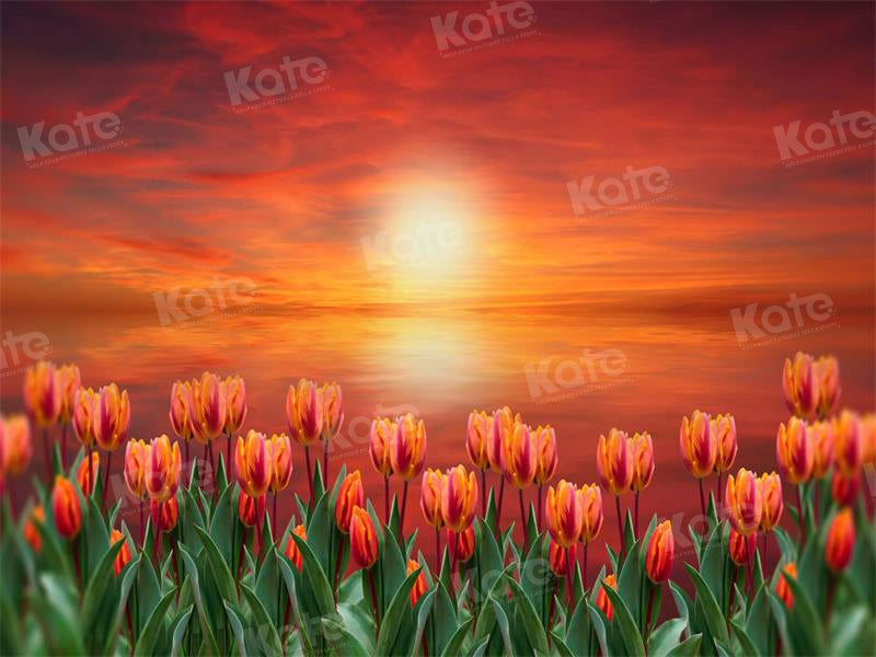 Kate Frühling Tulpe Dämmerung Sonnenuntergang Hintergrund für die Fotografie - Kate Backdrop.de