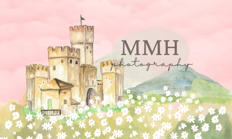 Kate Once Upon a Time-Princess Castle Hintergrund von Melissa McCraw-Hummer - Kate Backdrop.de