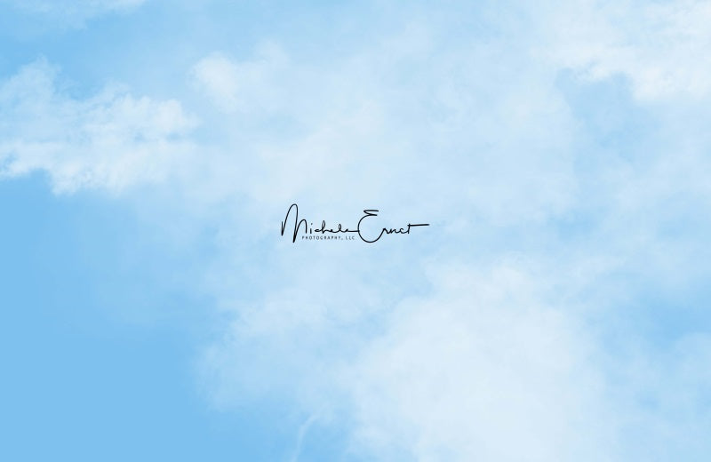 Kate Blauer Himmel Kulisse von Michele Ernst - Kate Backdrop.de