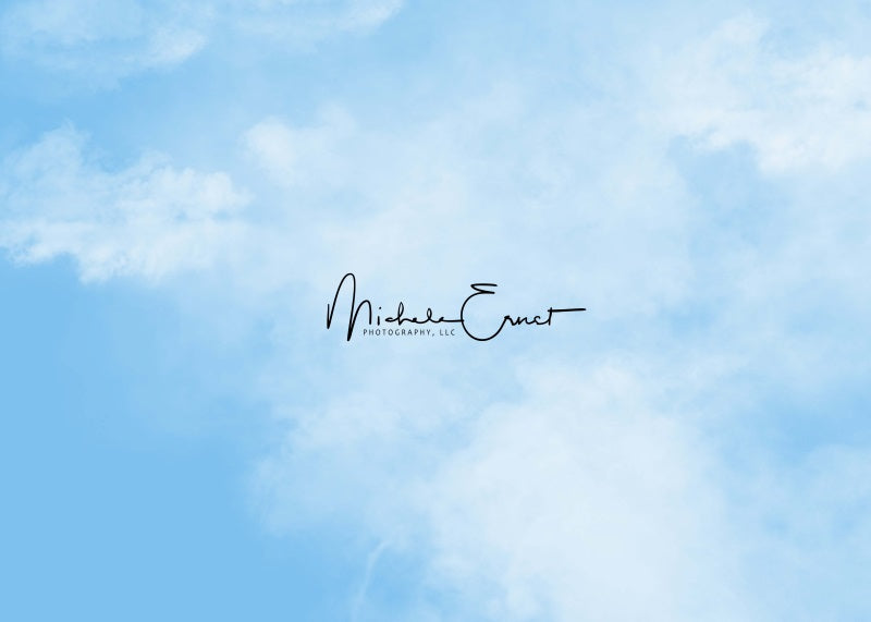 Kate Blauer Himmel Kulisse von Michele Ernst - Kate Backdrop.de