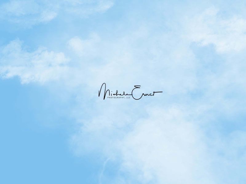 Kate Blauer Himmel Kulisse von Michele Ernst - Kate Backdrop.de