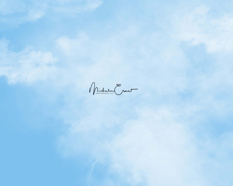 Kate Blauer Himmel Kulisse von Michele Ernst - Kate Backdrop.de