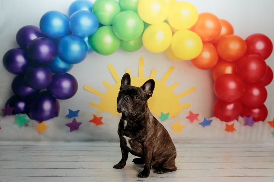 Kate Bunte Regenbogen-Ballons und Sonne Hintergrund von Melissa King
