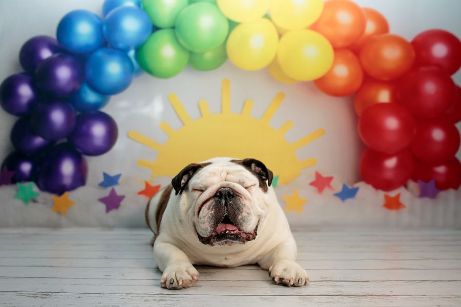 Kate Bunte Regenbogen-Ballons und Sonne Hintergrund von Melissa King
