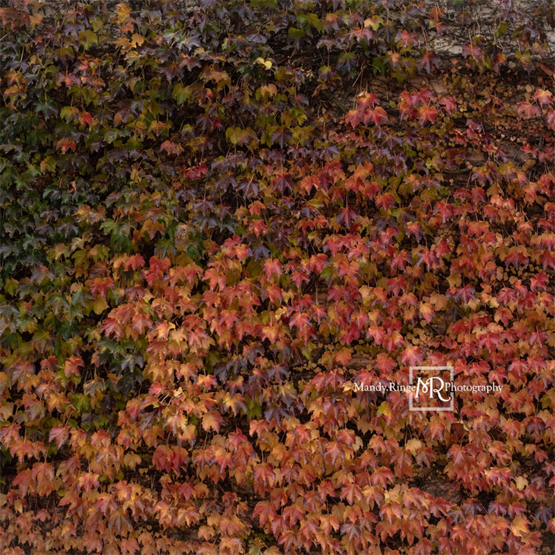 Kate Autumn Lvy Wand Hintergrundbild von Mandy Ringe Photography - Kate Backdrop.de