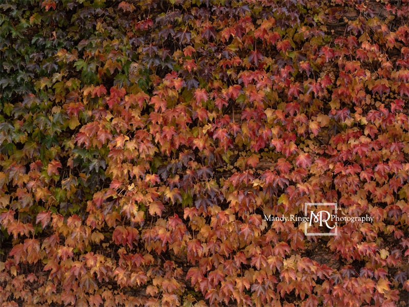 Kate Autumn Lvy Wand Hintergrundbild von Mandy Ringe Photography - Kate Backdrop.de
