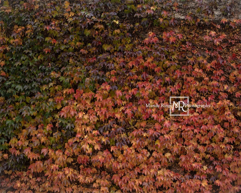 Kate Autumn Lvy Wand Hintergrundbild von Mandy Ringe Photography - Kate Backdrop.de