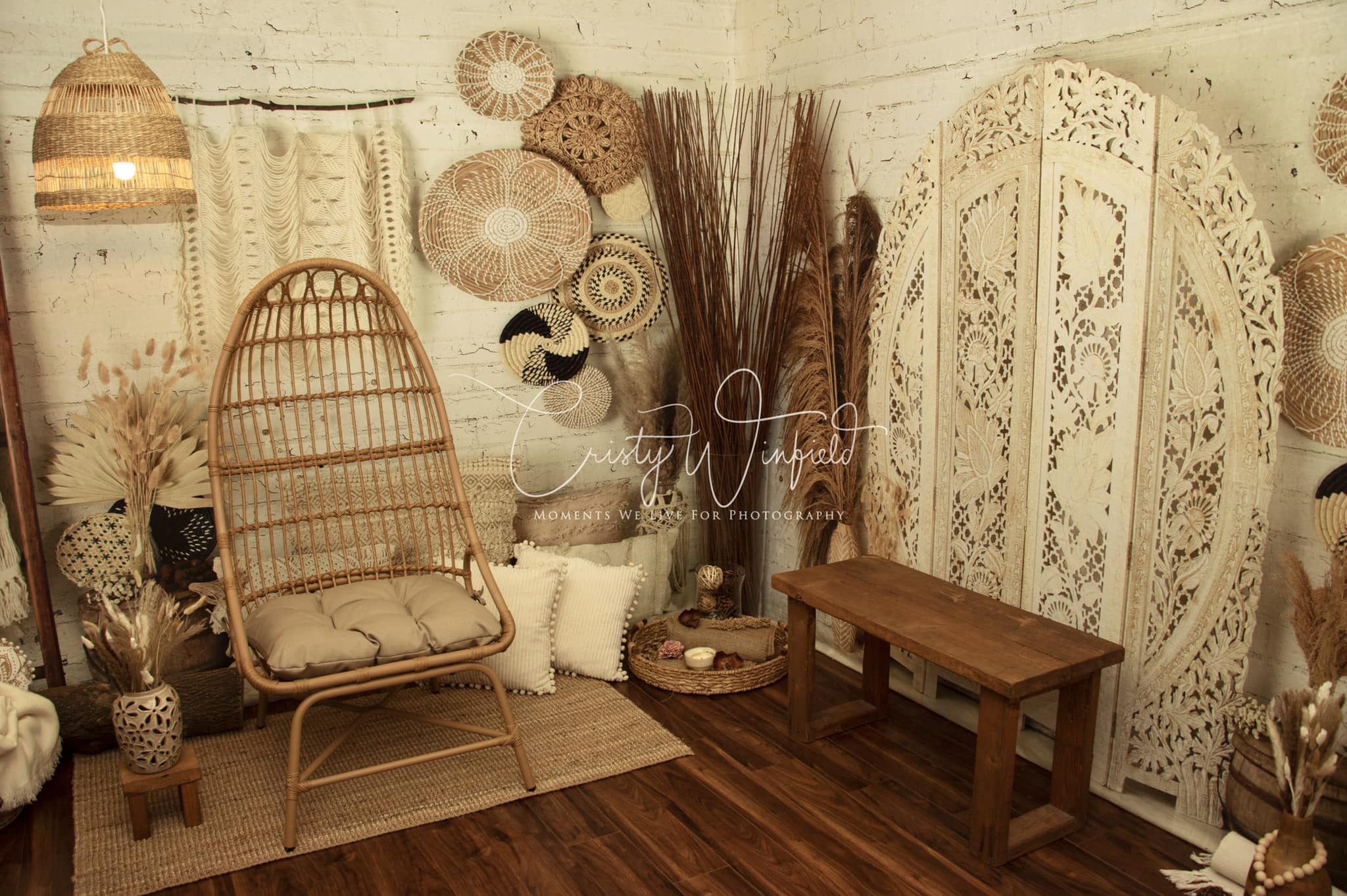 Kate Boho mit Pampasgras Hintergrund von Mandy Ringe Photography - Kate Backdrop.de