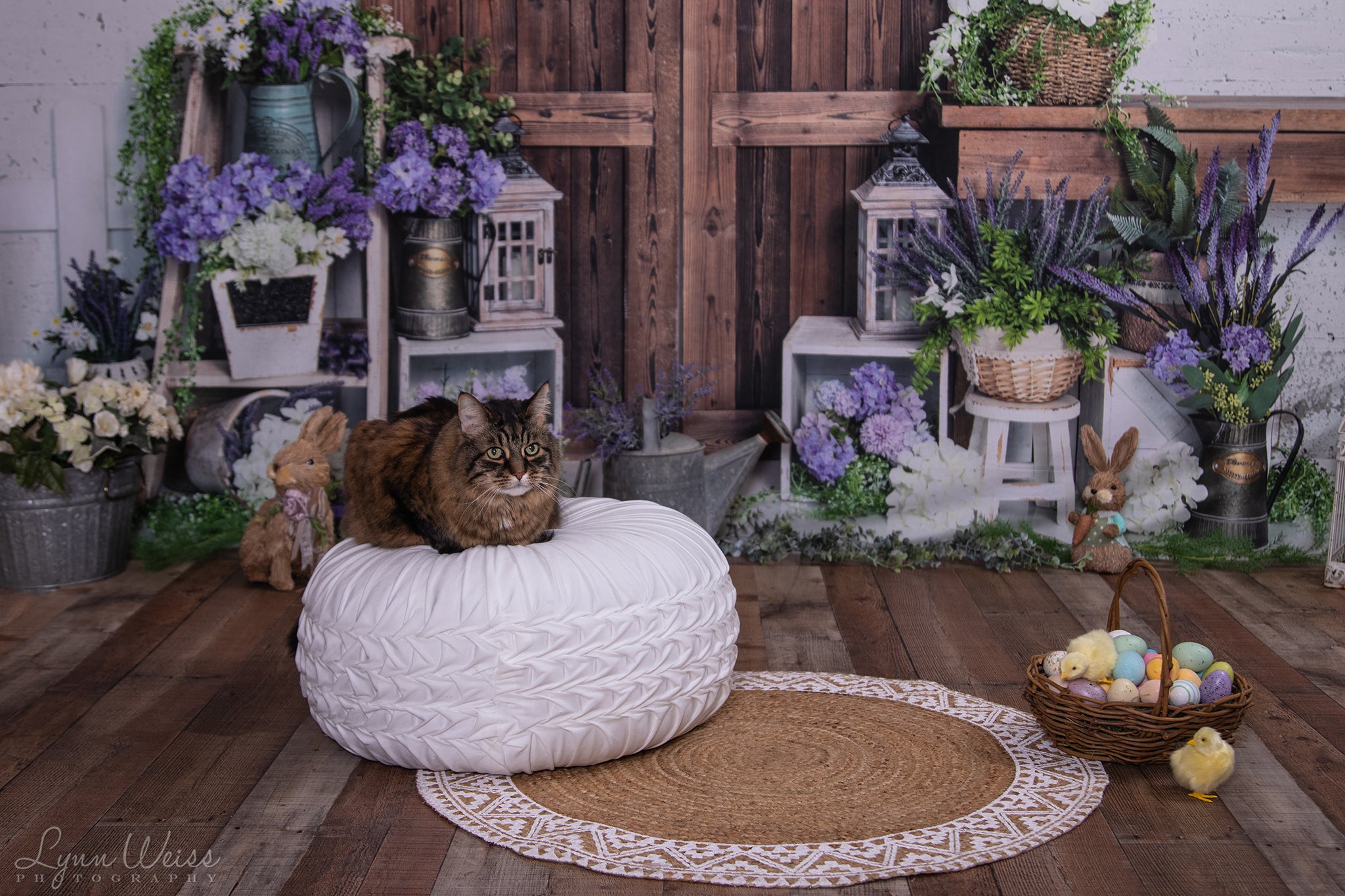 Kate Frühling lila Blume Scheune Tür Hintergrund von Emetselch - Kate Backdrop.de