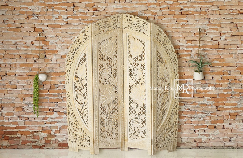 Kate Boho-schirm und hängende Pflanzen Kulisse von Mandy Ringe Photography - Kate Backdrop.de