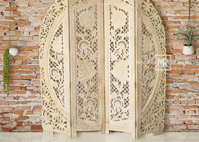 Kate Boho-schirm und hängende Pflanzen Kulisse von Mandy Ringe Photography - Kate Backdrop.de