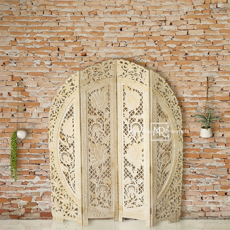 Kate Boho-schirm und hängende Pflanzen Kulisse von Mandy Ringe Photography - Kate Backdrop.de