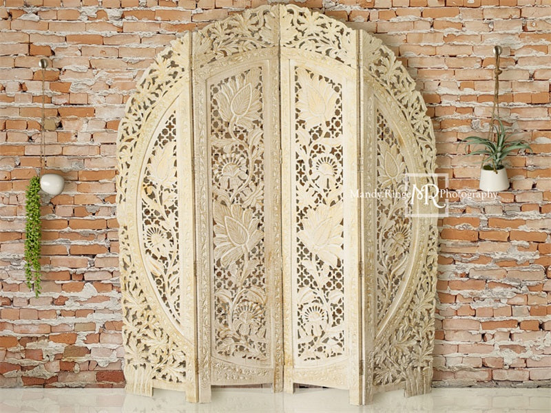 Kate Boho-schirm und hängende Pflanzen Kulisse von Mandy Ringe Photography - Kate Backdrop.de