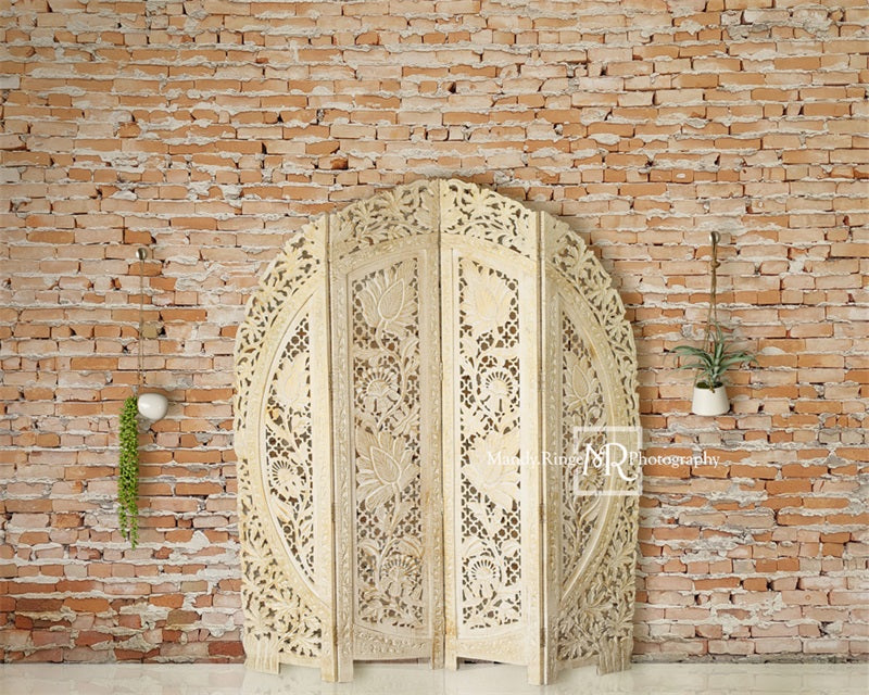 Kate Boho-schirm und hängende Pflanzen Kulisse von Mandy Ringe Photography - Kate Backdrop.de