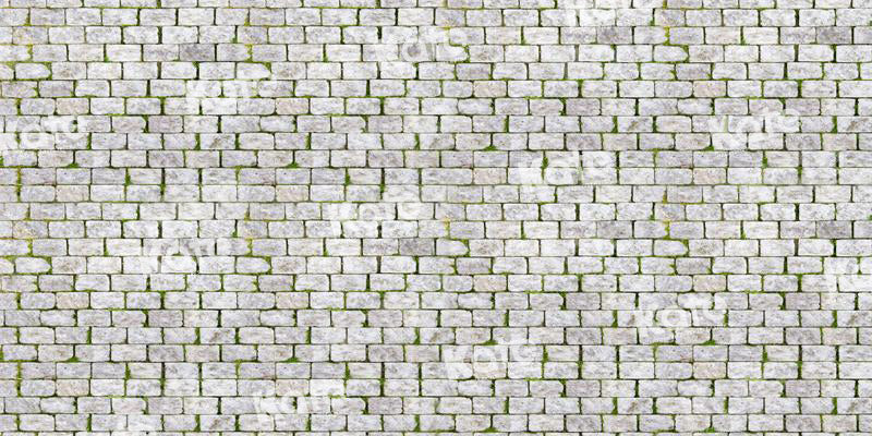 Kate Frühling Backstein Mauer Straße Hintergrund für Fotografie - Kate Backdrop.de