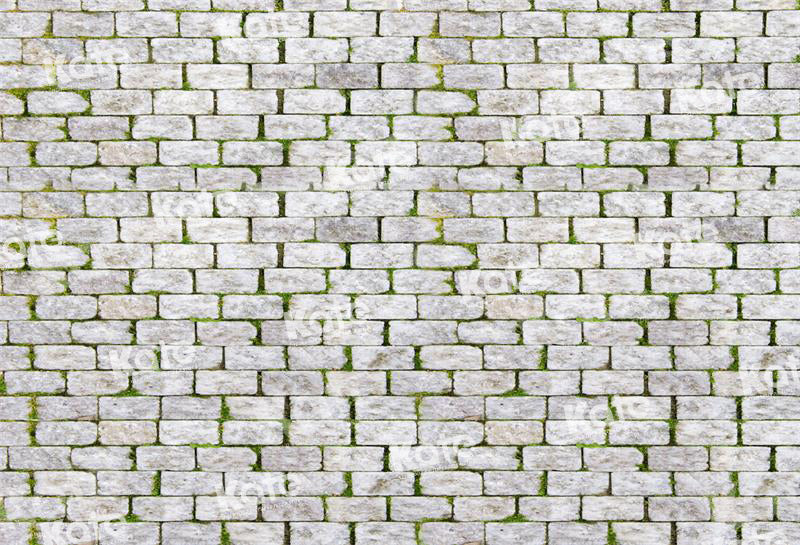 Kate Frühling Backstein Mauer Straße Hintergrund für Fotografie - Kate Backdrop.de