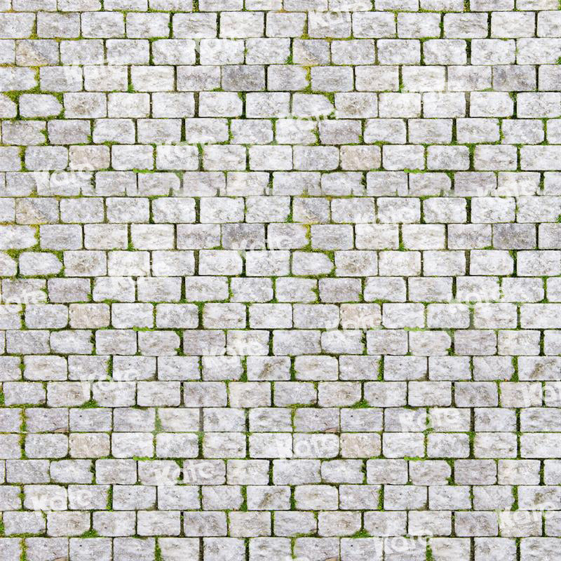 Kate Frühling Backstein Mauer Straße Hintergrund für Fotografie - Kate Backdrop.de