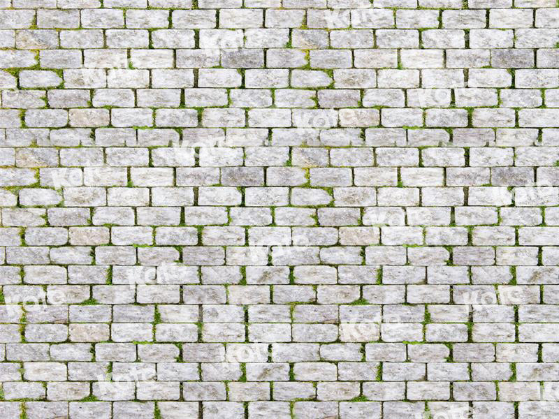 Kate Frühling Backstein Mauer Straße Hintergrund für Fotografie - Kate Backdrop.de