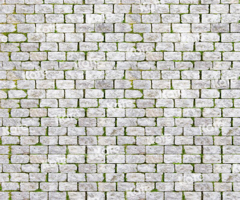 Kate Frühling Backstein Mauer Straße Hintergrund für Fotografie - Kate Backdrop.de