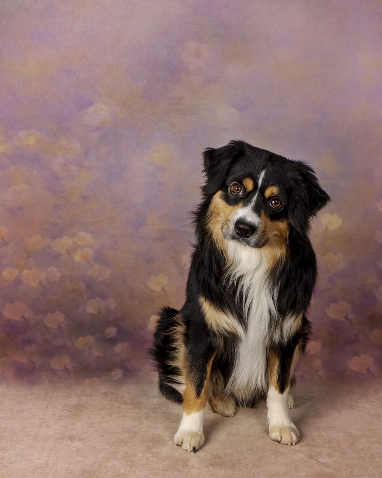 Kate Warm Fine Art Blumenhintergrund von GQ - Kate Backdrop.de