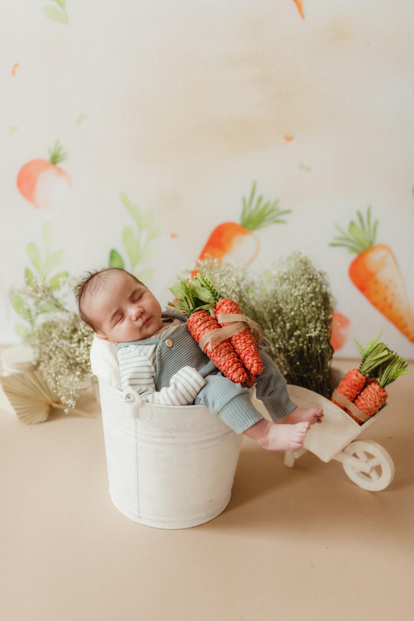 Kate Ostern Karotte Patch Hintergrund von Patty Roberts - Kate Backdrop.de