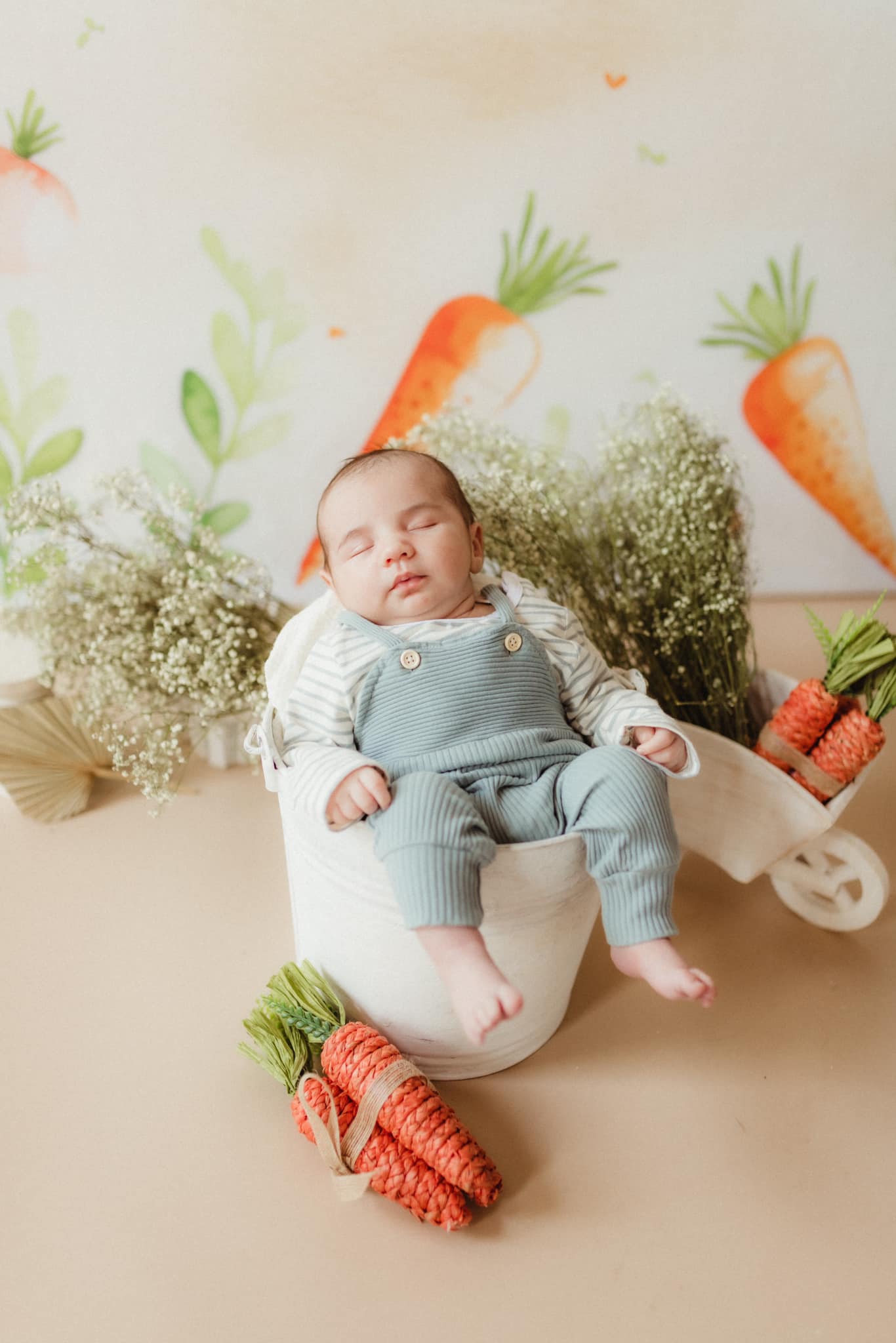 Kate Ostern Karotte Patch Hintergrund von Patty Roberts - Kate Backdrop.de