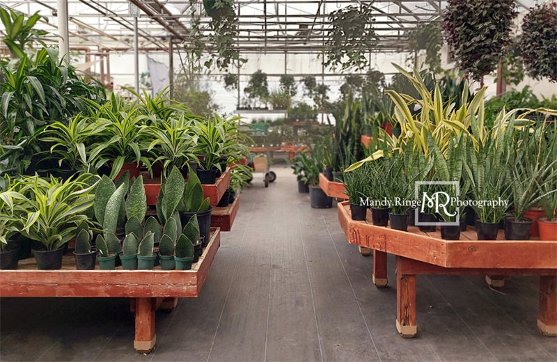 Kate Gewächshaus Interieur Hintergrund von Mandy Ringe Photography - Kate Backdrop.de