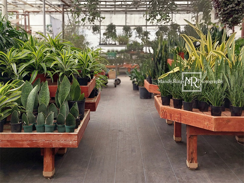Kate Gewächshaus Interieur Hintergrund von Mandy Ringe Photography - Kate Backdrop.de