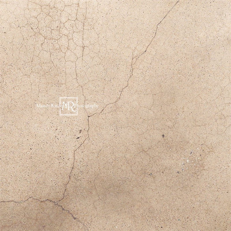 Kate Abgenutzter rissiger Terrazzo Hintergrund von Mandy Ringe Photography - Kate Backdrop.de