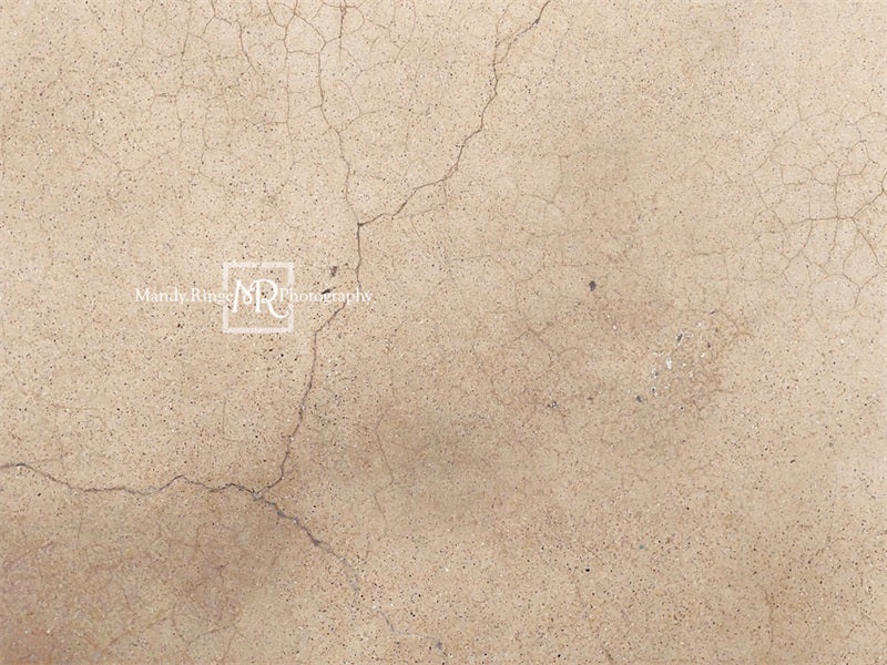 Kate Abgenutzter rissiger Terrazzo Hintergrund von Mandy Ringe Photography - Kate Backdrop.de