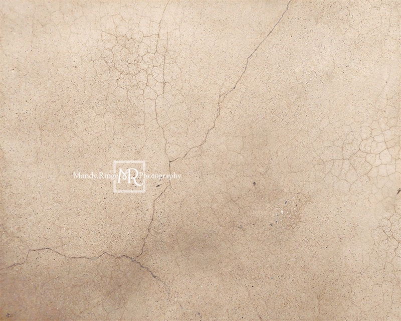 Kate Abgenutzter rissiger Terrazzo Hintergrund von Mandy Ringe Photography - Kate Backdrop.de