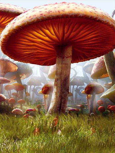 Katebackdrop：Kate Children Mushrooms Forest Photography Backdrops