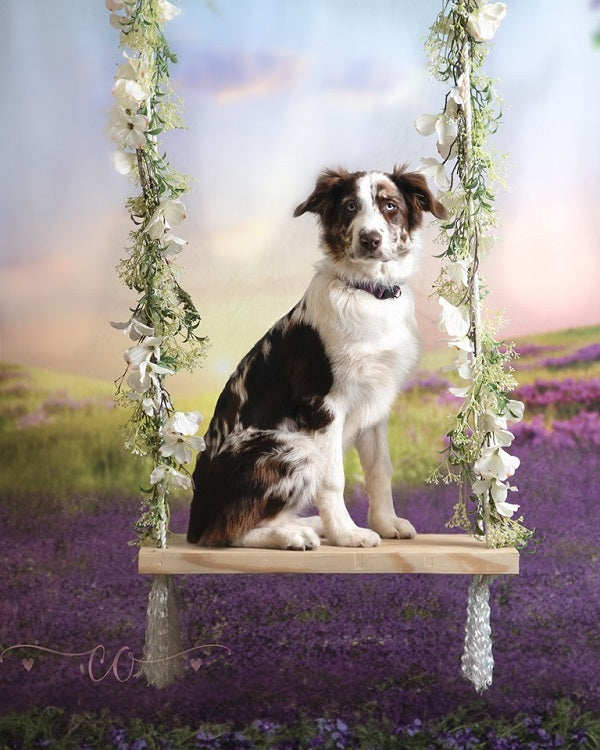 Kate Landschafts Lavendel mit Sonnenaufgang Hintergrund Hochzeit - Kate Backdrop.de
