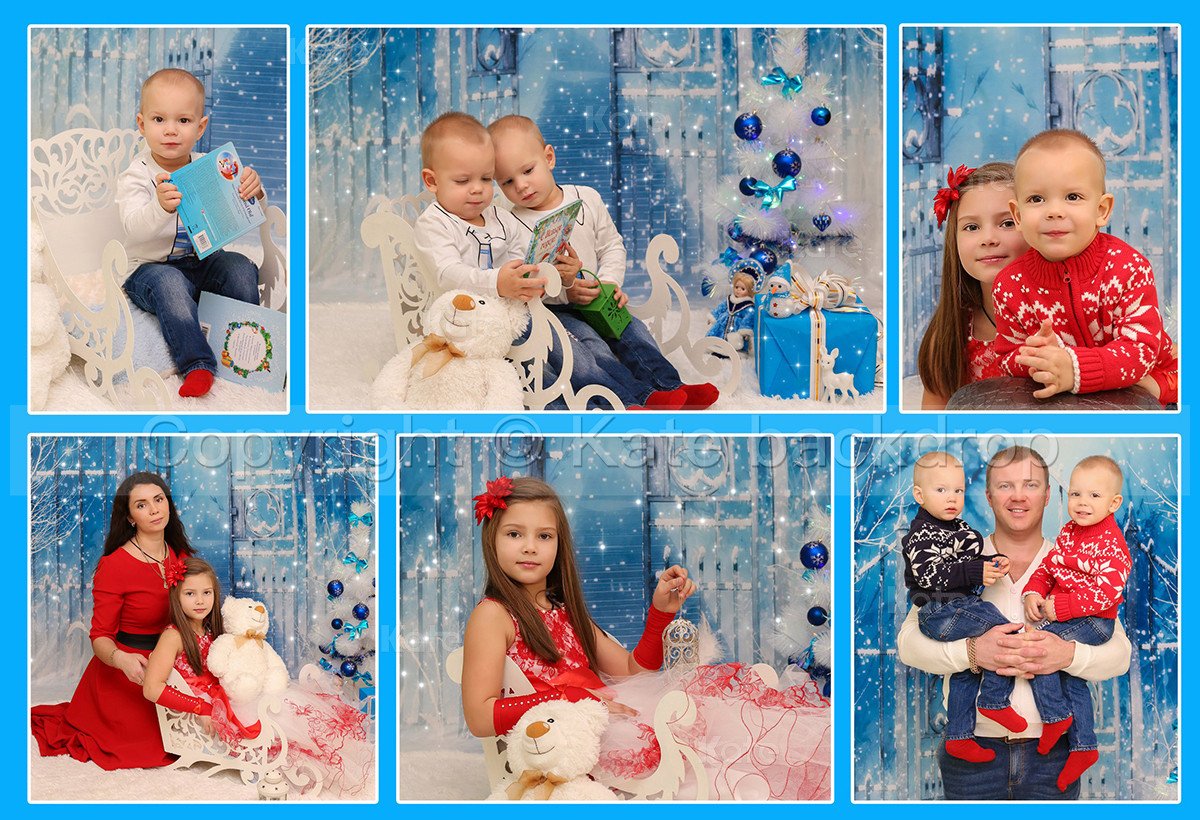 Katebackdrop:Kate Winner Photography Backdrops Bridge Gate With Snow Backdrop