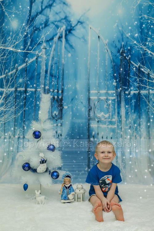 Katebackdrop:Kate Winner Photography Backdrops Bridge Gate With Snow Backdrop