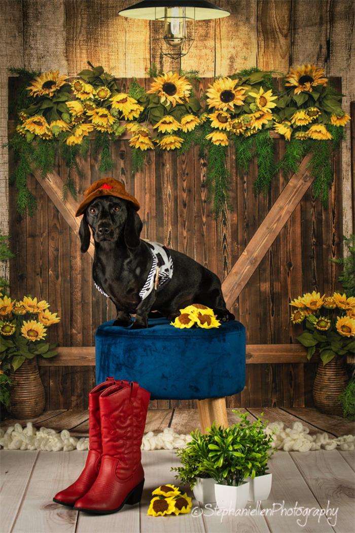 Kate Frühling Sonnenblumen Holztür Hintergrund Entworfen von Emetselch - Kate Backdrop.de