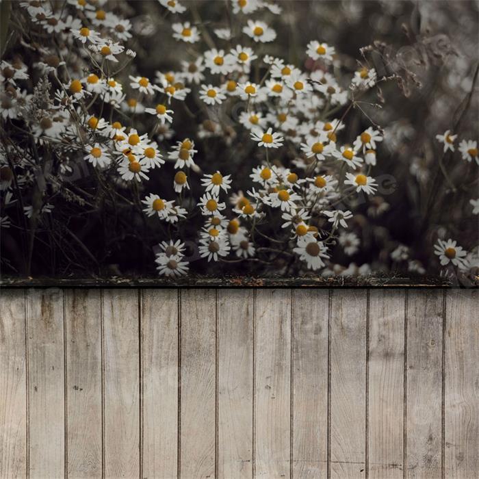 Kate Kombibackdrop Boho Sommer Blumen Holz Hintergrund