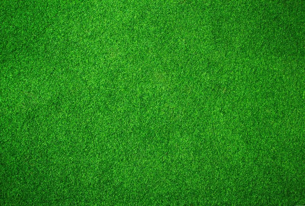 Katebackdrop:Kate Green Grassland rubber floor mat