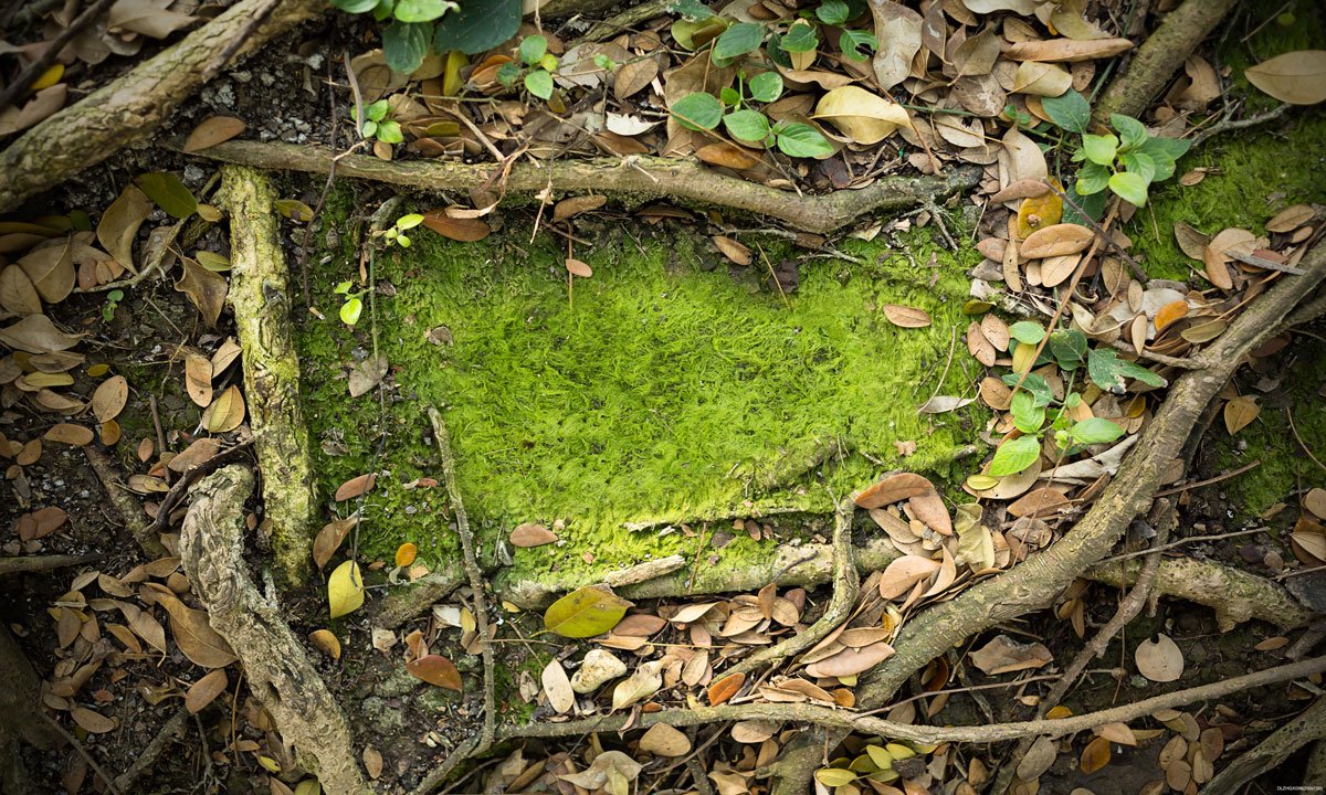 Katebackdrop：Kate Forest Branches Leaves rubber floor mat