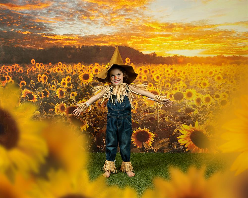Kate Sommer/Herbst Hintergrund Sonnenblumen Sonnenuntergang von Chain Photography - Kate Backdrop.de