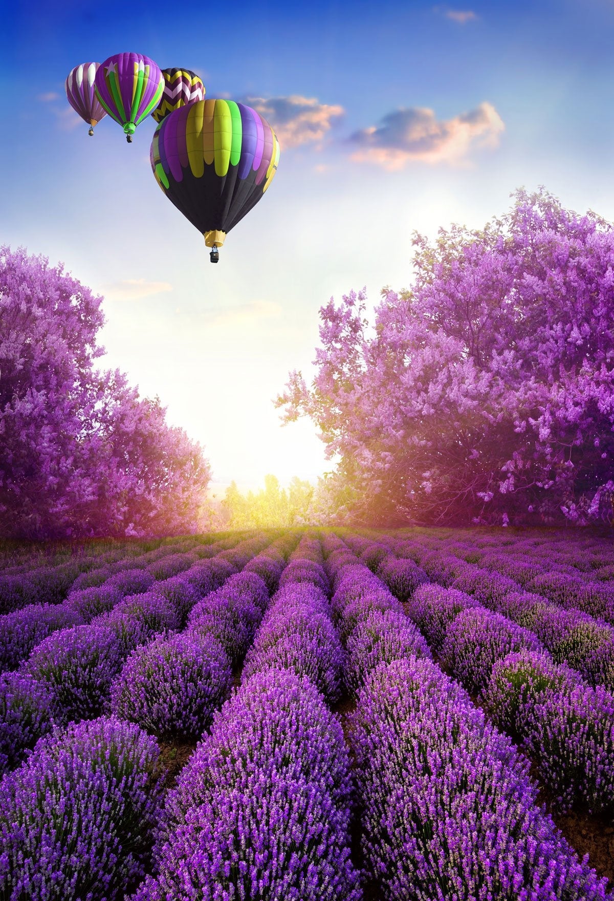 Katebackdrop:Kate Hot Air Balloon Purple flower Garden Backdrop