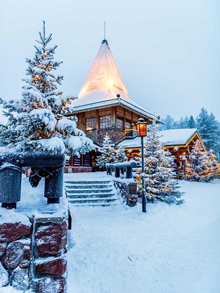 Katebackdrop:Kate Christmas Backdrop Winter Snow Scene Photography