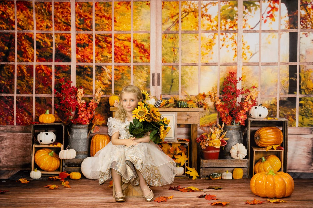 Kate Herbst Hintergrund Kürbis Halloween Sonnenblumen Fenster von Uta Mueller Photography