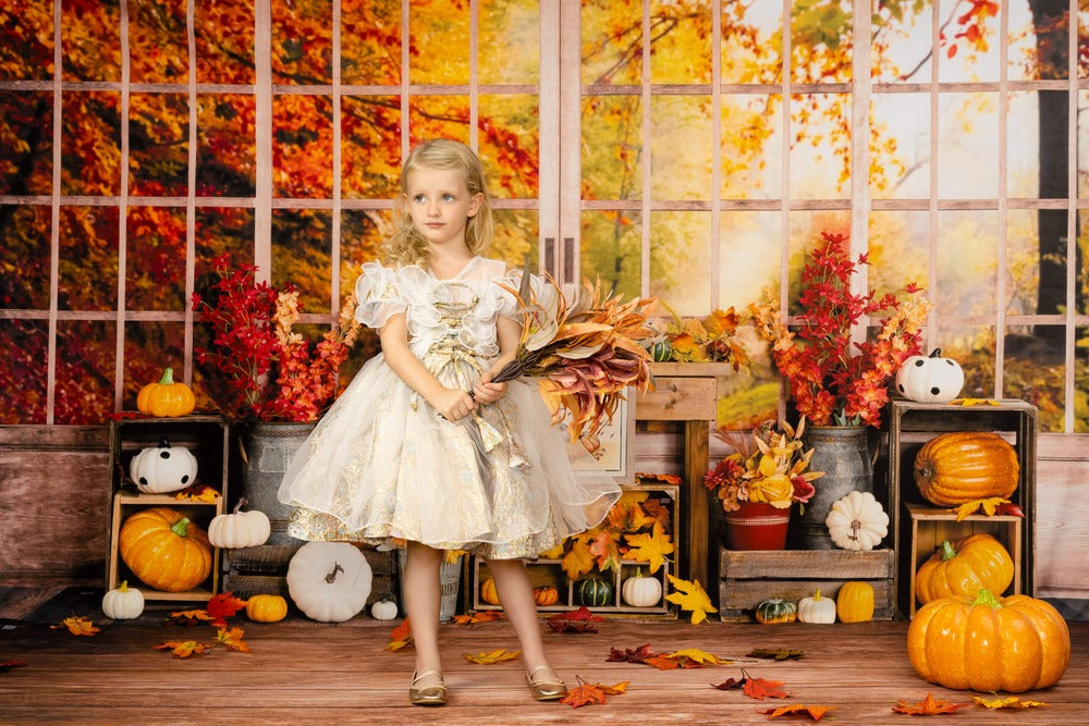 Kate Herbst Hintergrund Kürbis Halloween Sonnenblumen Fenster von Uta Mueller Photography