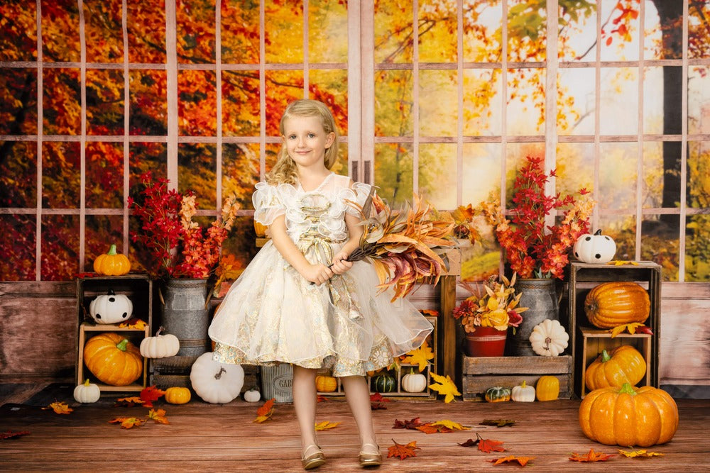 Kate Herbst Hintergrund Kürbis Halloween Sonnenblumen Fenster von Uta Mueller Photography
