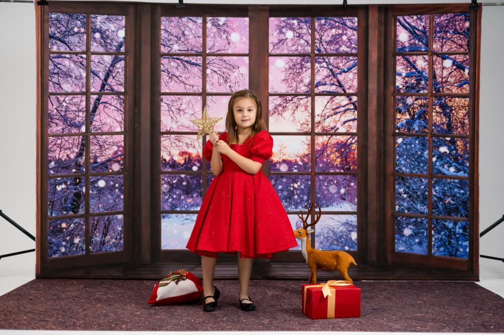 Kate Winter Weihnachten Nacht Hintergrund Fenster von Chain Photography - Kate Backdrop.de