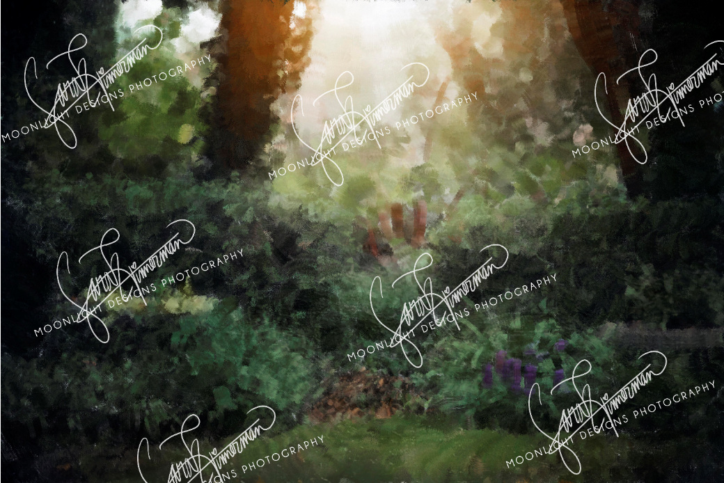 Kate Southern Sommer Backdrop für Fotografie Entworfen von Sarah Timmerman - Kate Backdrop.de