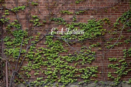 Kate Grünes Blatt Backsteinmauer Hintergrund für Fotografie von Erin Larkins - Kate Backdrop.de