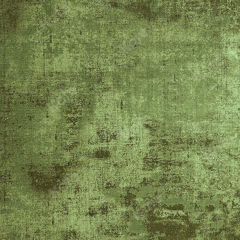 Kate Abstrakter rustikaler grüner strukturierter Hintergrund - Kate Backdrop.de
