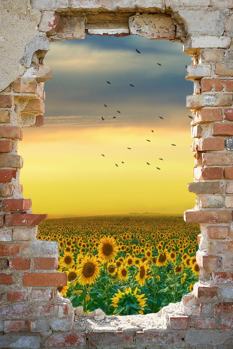 Kate schäbige Mauer Sonnenblumen Hintergrund - Kate Backdrop.de
